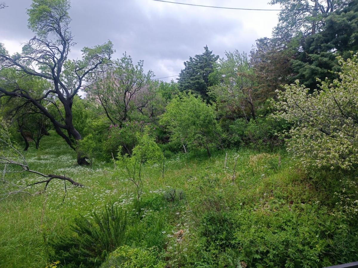 Apartman Stipa - Ferienwohnung Senj