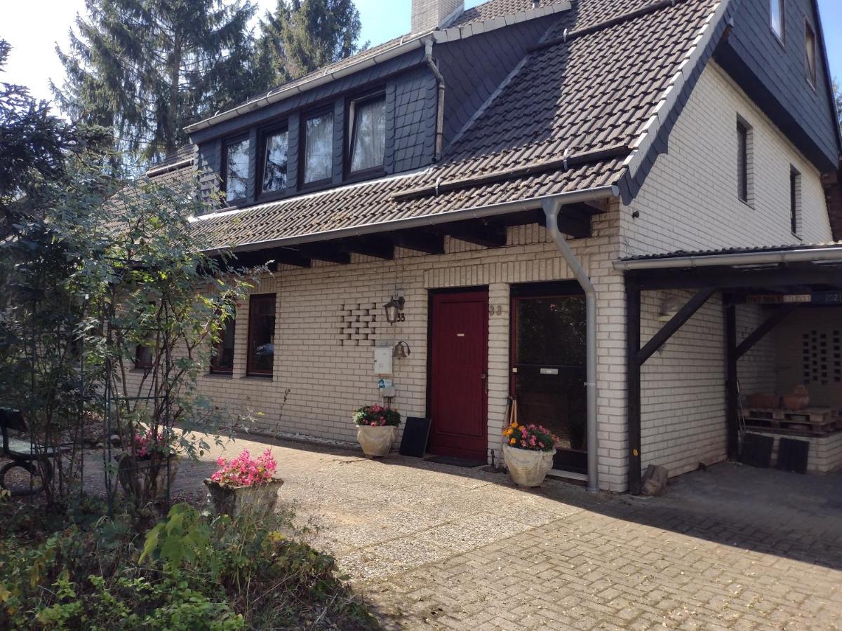 Olifant in Osterode - B&B Osterode am Harz