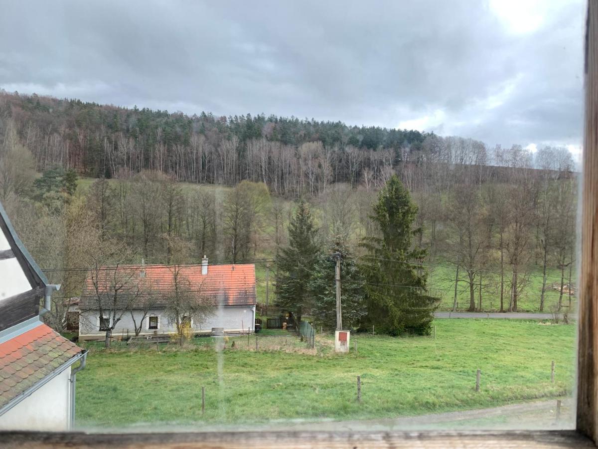 Dvorek na správném místě - Salajna 17 - B&B