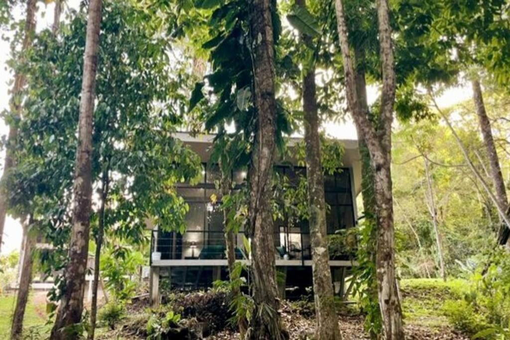 An abundance of wildlife at Jungle Glory Home Abajo - Chambres d'hôtes Manuel Antonio