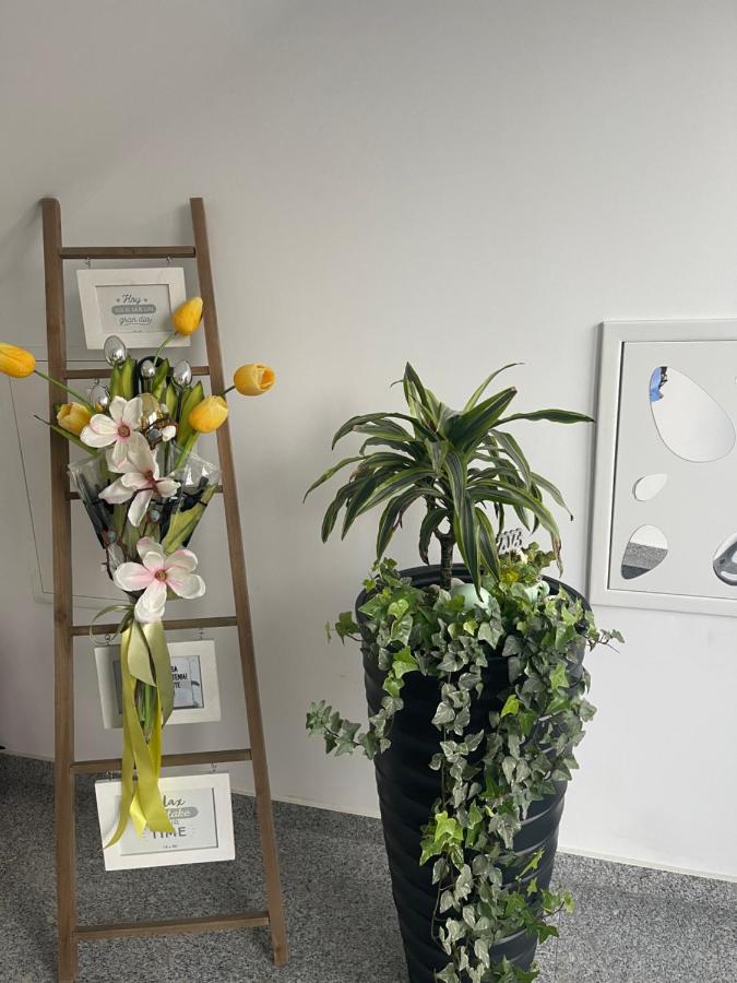 AM Apartments Timisoara - B&B Timişoara