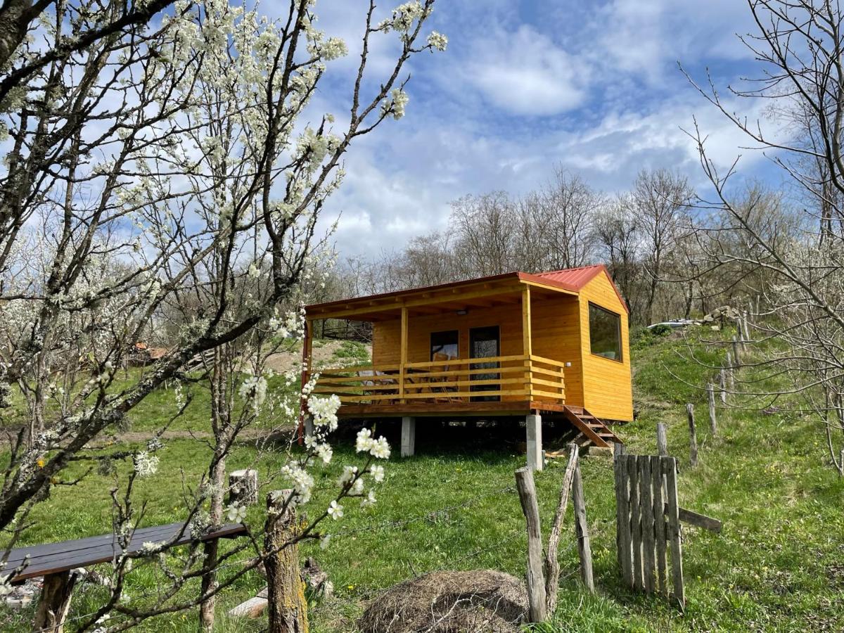 Tiny Heaven Chidea - Bed and Breakfast
