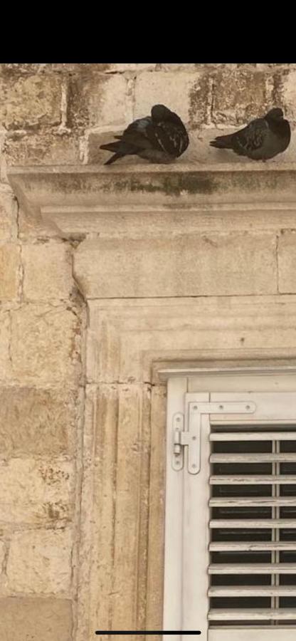 Elephant in my room - B&B Ragusa