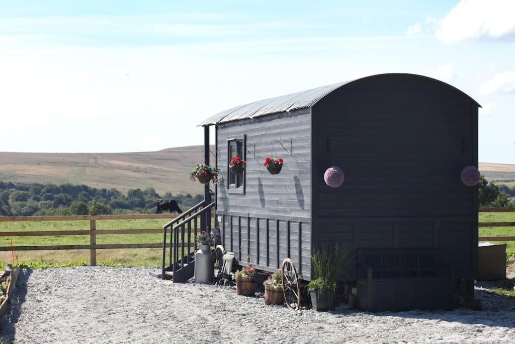 B&B Lydford - The Cloves Farm Shepherd’s Hut - Bed and Breakfast Lydford