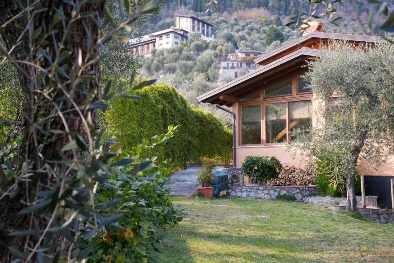 Guesthouse "Villa Tamas" - B&B