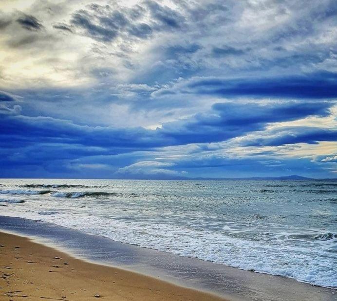 Maria & Trifon studio - Ferienwohnung Ofrínion