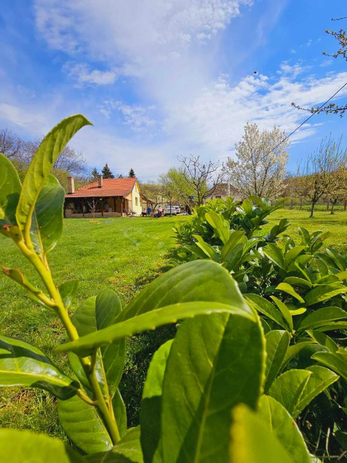 Fruška house - Chambres d’hôtes Bešenovački Prnjavor