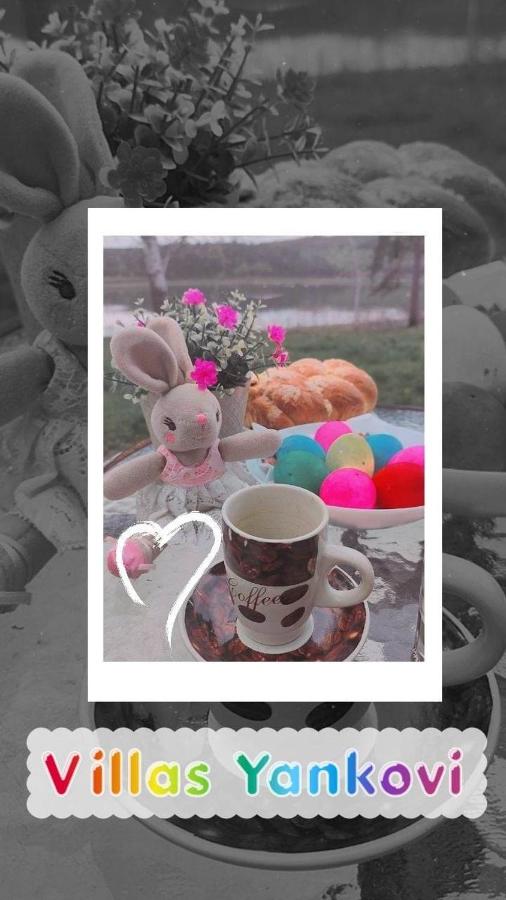 Вили Янкови - B&B Dobri Dyal