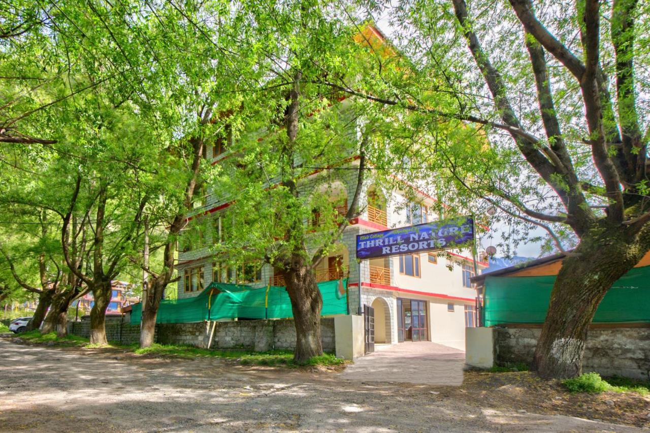 B&B Manali - Thrill Nature Cottage - Bed and Breakfast Manali