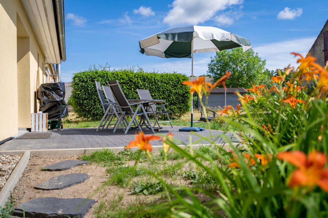 Ferienwohnung Storchennest - Ferienwohnung Vipperow