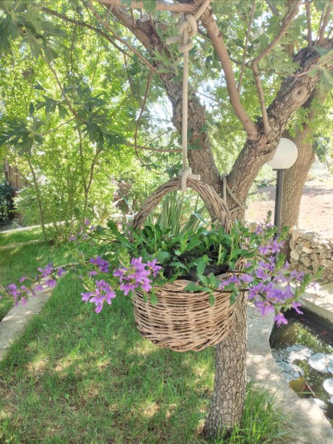 Il trullo felice - Chambres d’hôtes Locorotondo