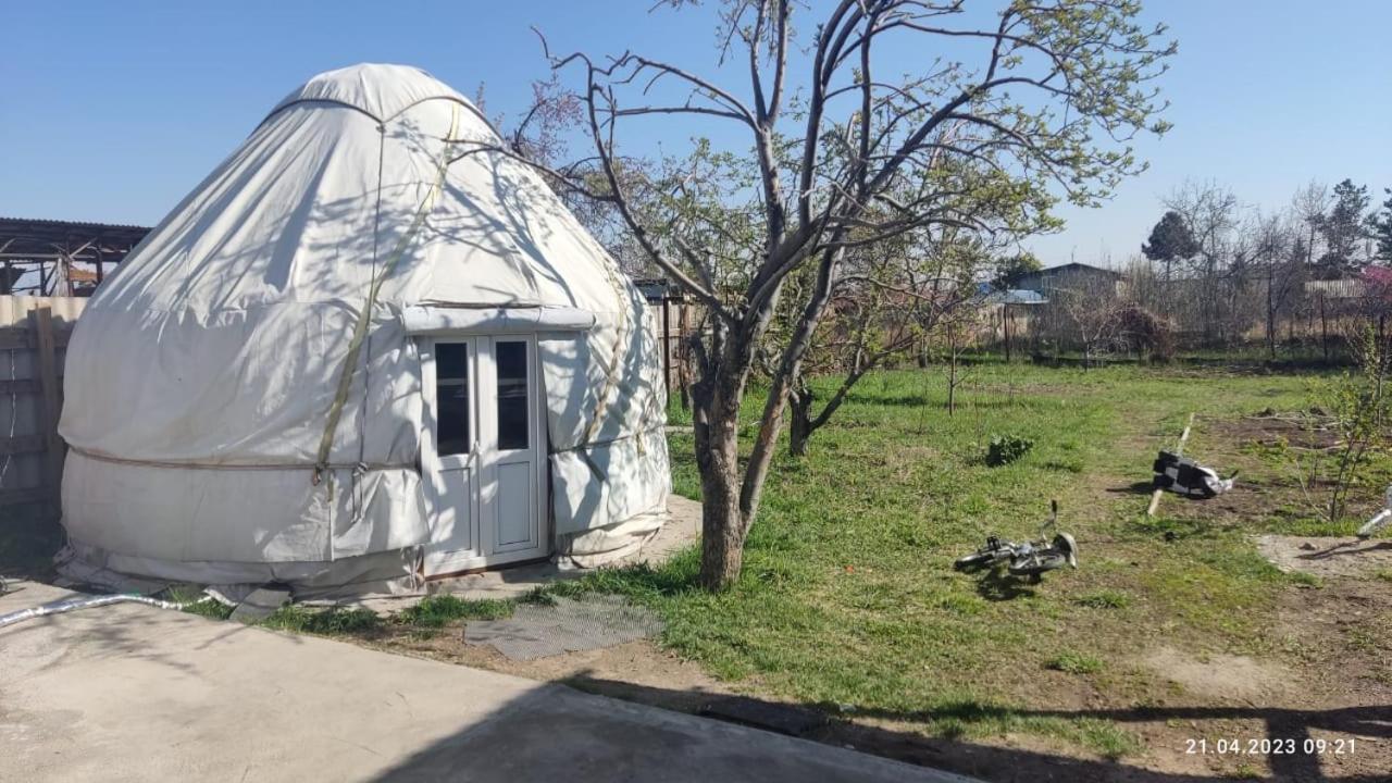 Yurt stay in downtown - B&B