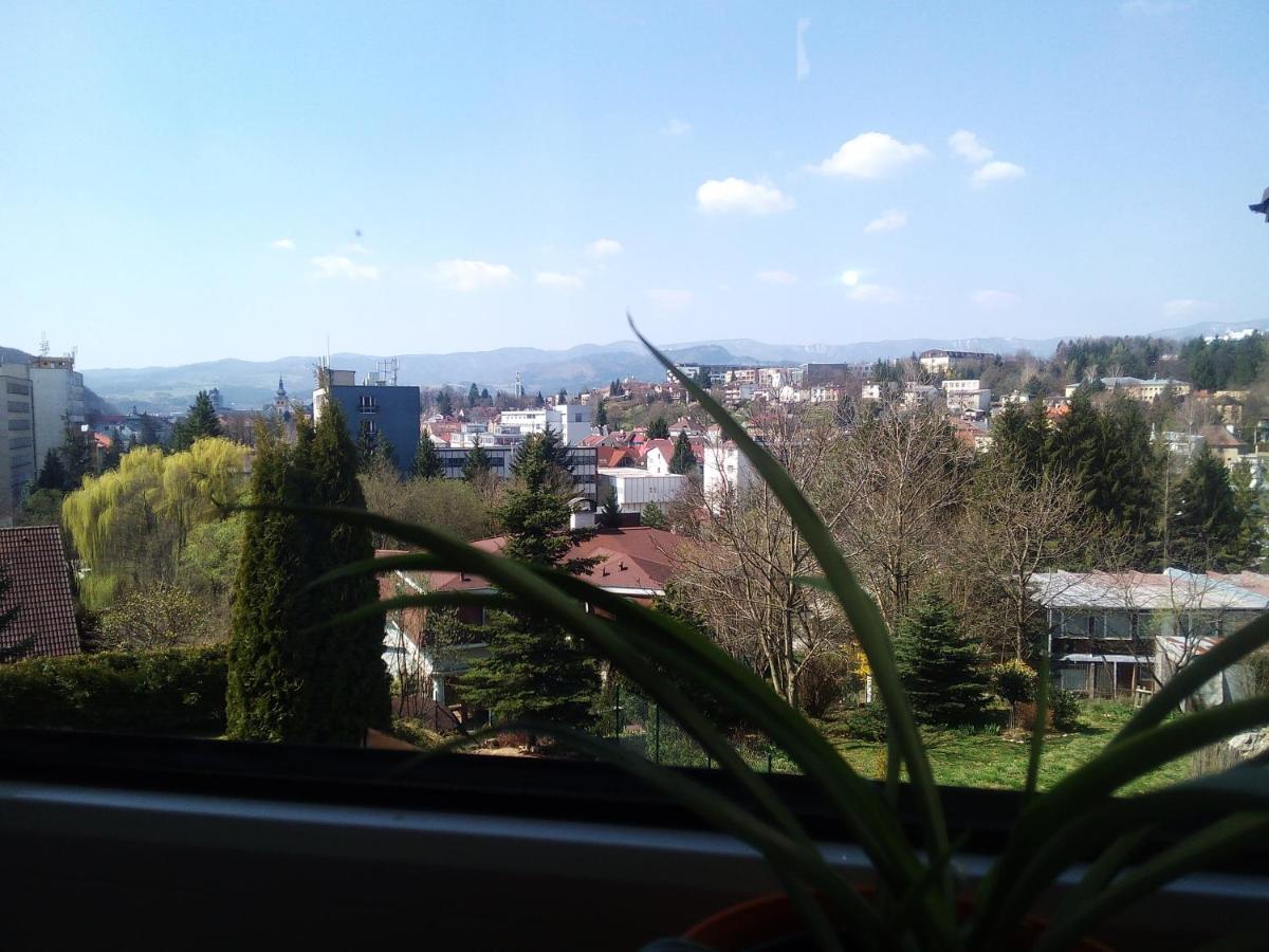 Apartmán Danka - B&B