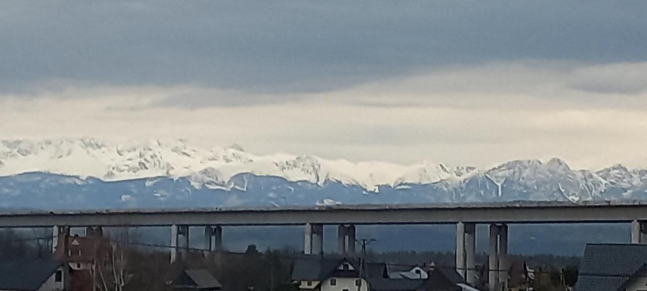 One-Bedroom Family Apartment