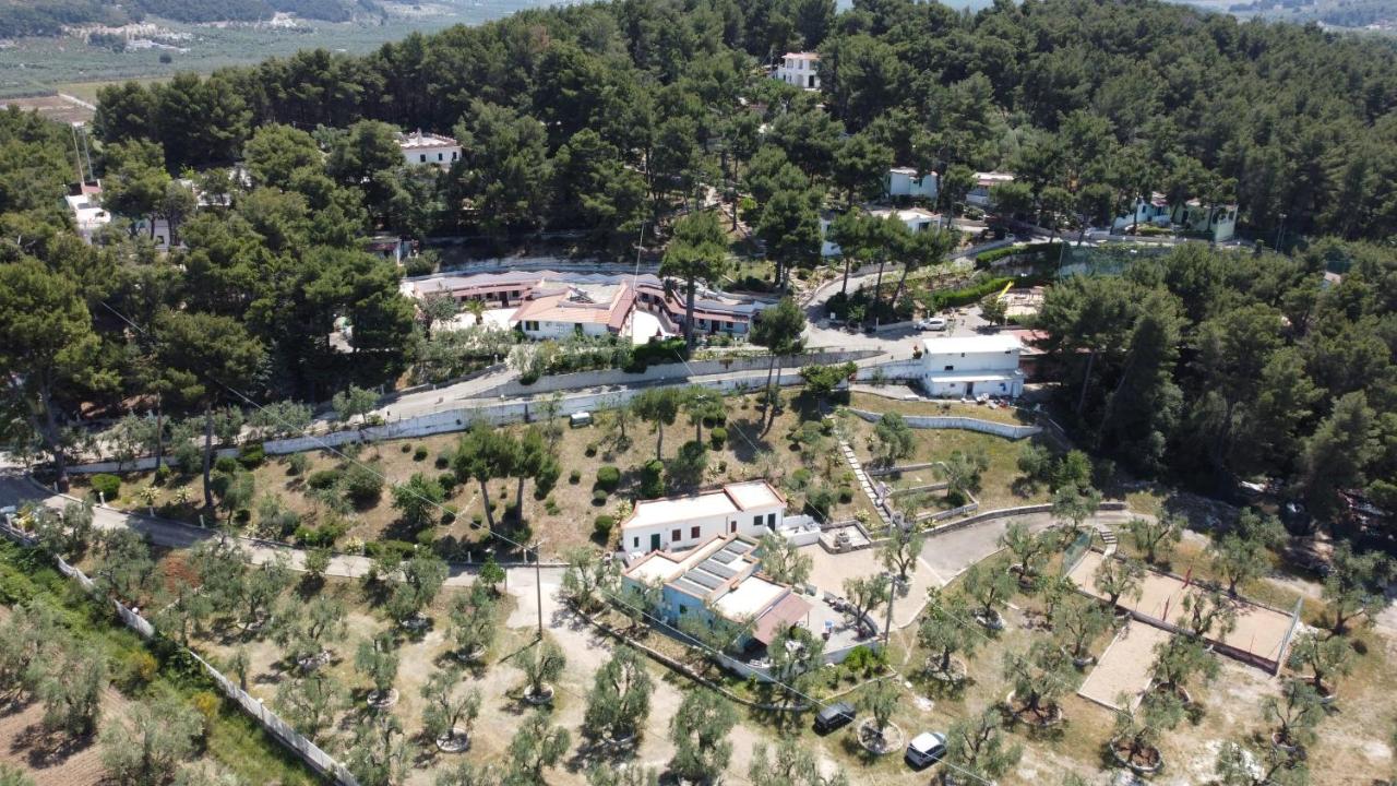 appartamentini case elisena Vieste - B&B Vieste