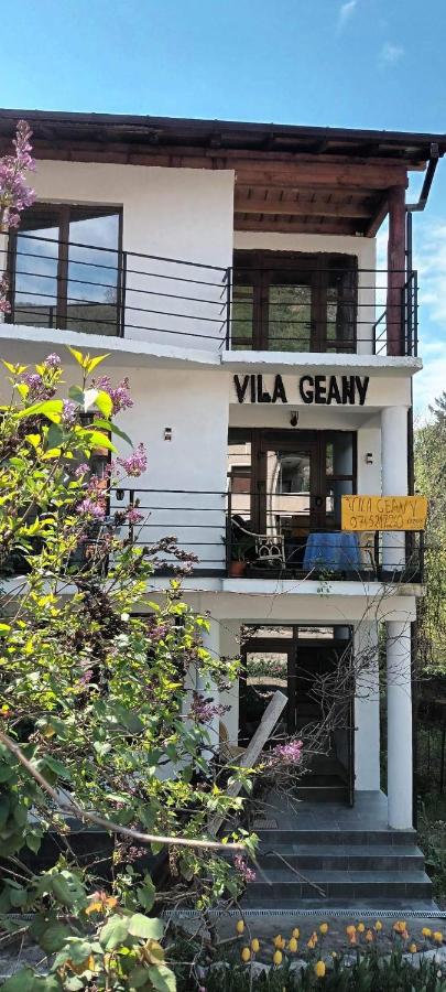 Vila Geany - Ferienwohnung Băile Herculane