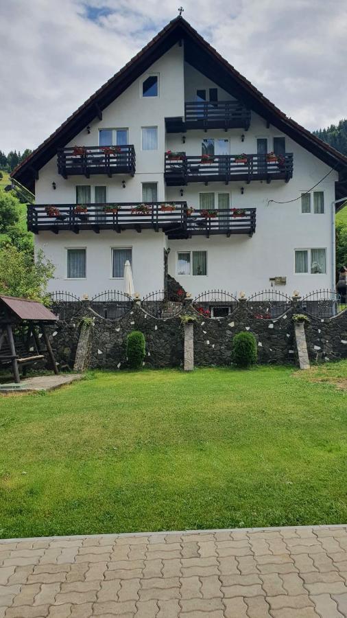 Pensiunea Paula - B&B