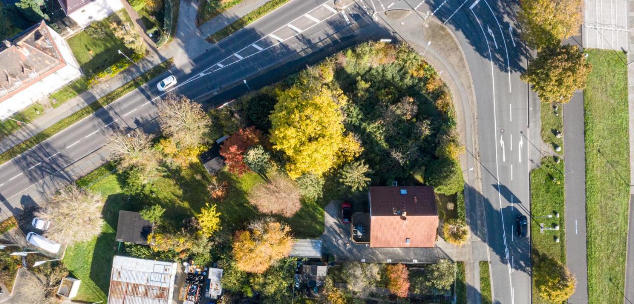 gemütliche Ferienwohnungen direkt am Goitzschesee, Platz für die ganze Familie, Haustiere sind Willkommen - B&B