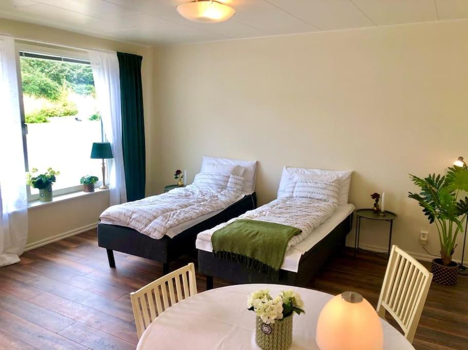Cozy modern studio apartment stay - B&B Falkenberg