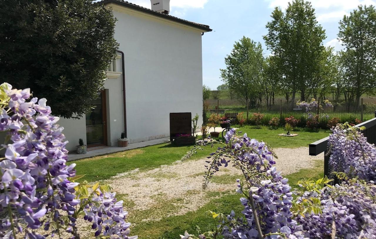 Suite Junior con terraza