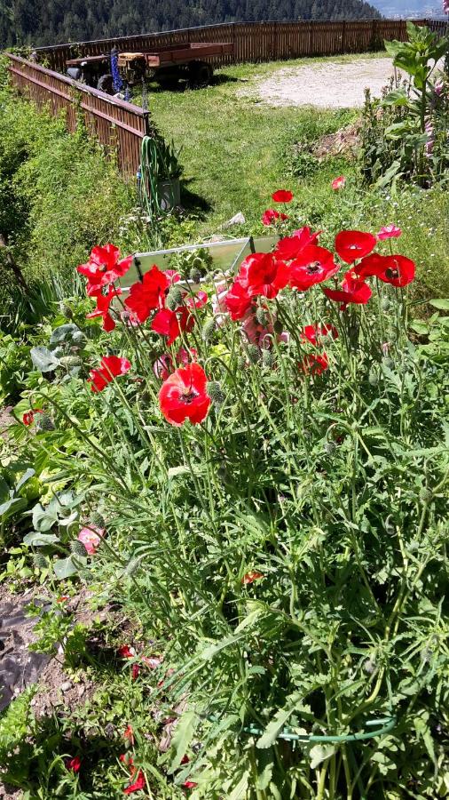 Pixnerhof Urlaub auf dem Bauernhof - B&B Scena