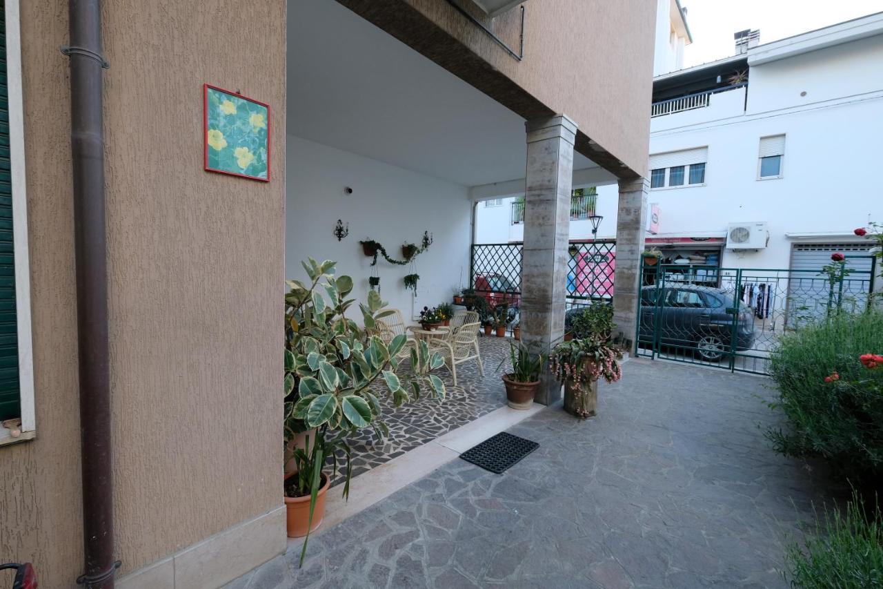 Orchidea PT - Pineto Vacanza - B&B Pineto