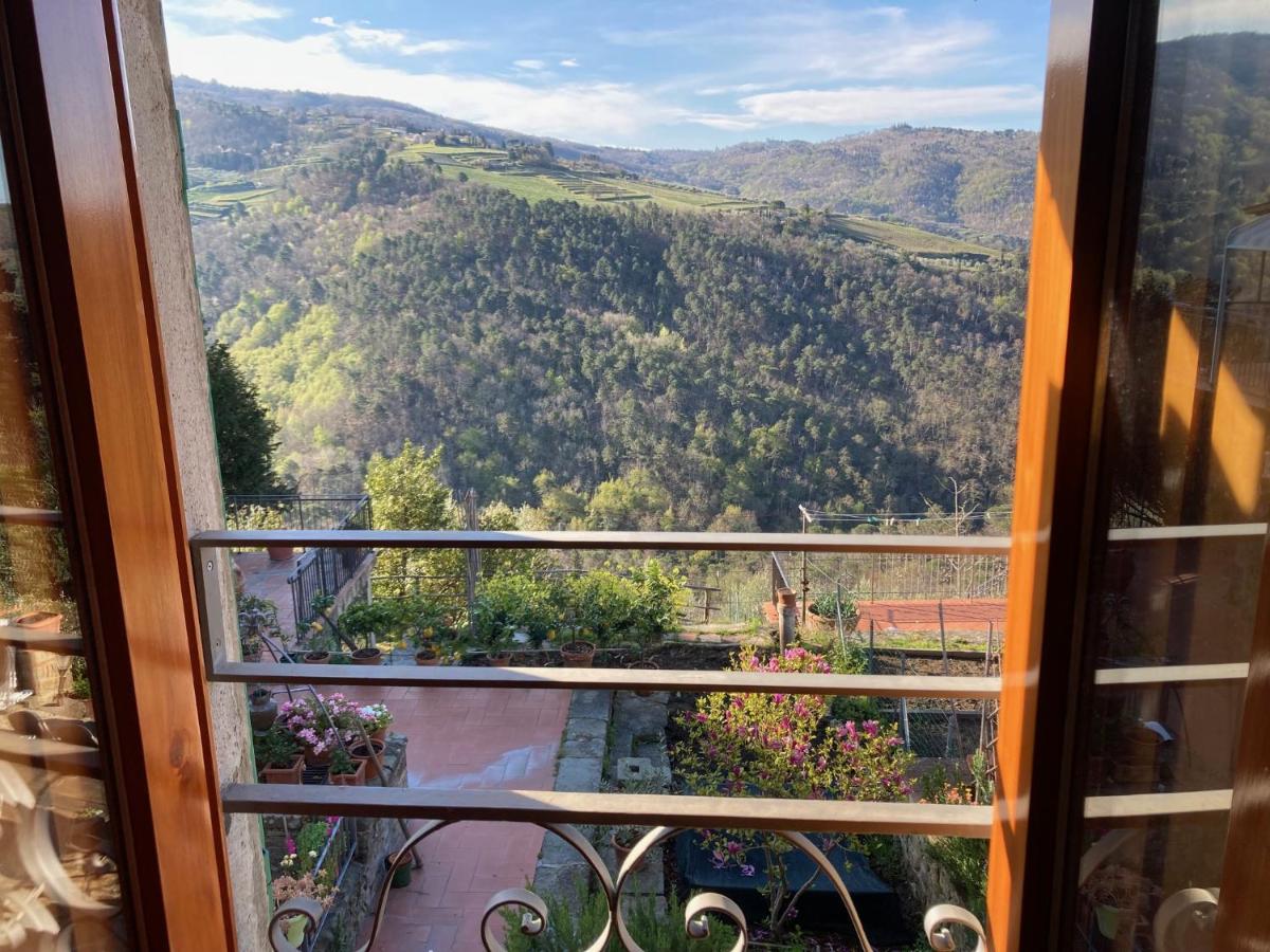 Agriturismo La casina di Castellinuzza e Piuca - Bed and Breakfast Corti