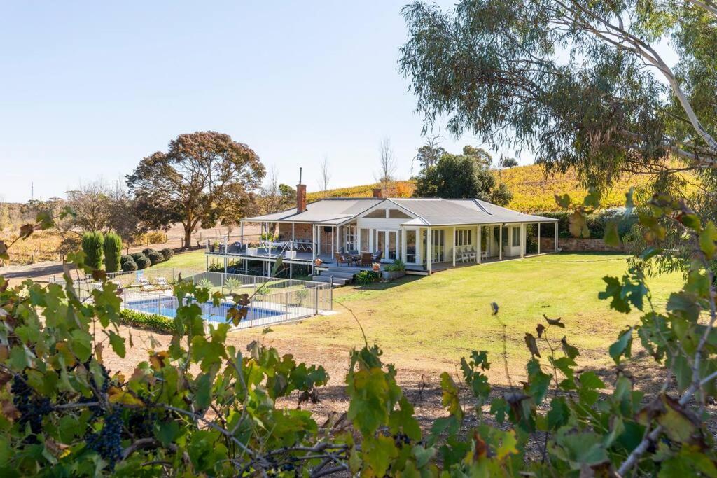 O'Briens of Clare - Stylish Pet Friendly Vineyard Accommodation - B&B