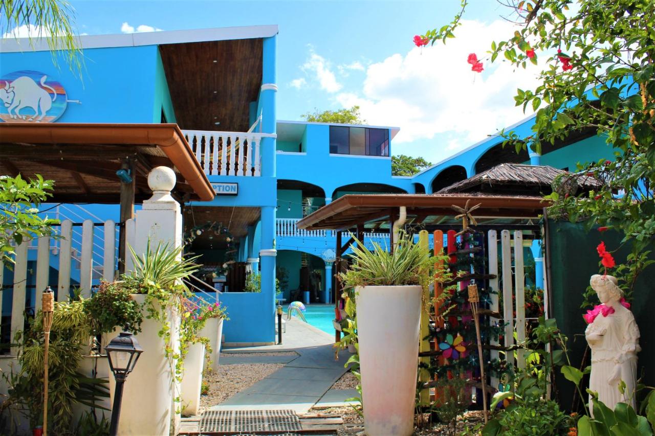 Toro Blanco - B&B