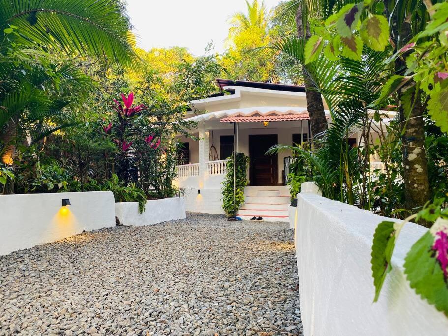 Villa Pont Bleu - B&B Canacona
