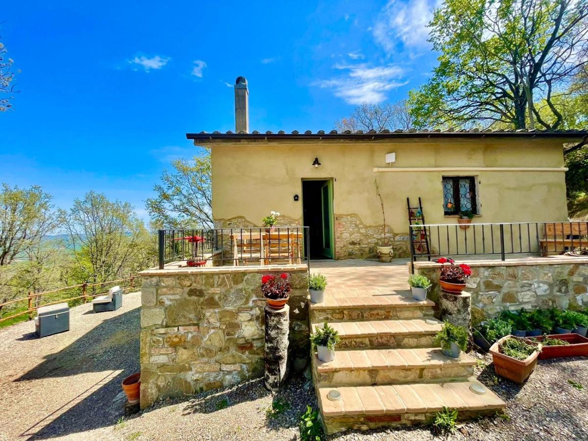 Val D’Orcia Eco Cottage - B&B Campiglia d'Orcia