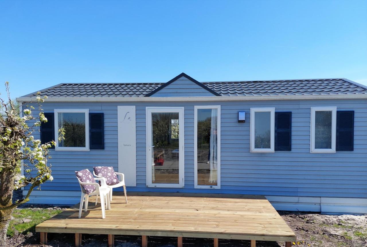 Chalet Doyenne 6 pers. - Chambres d’hôtes Hengstdijk