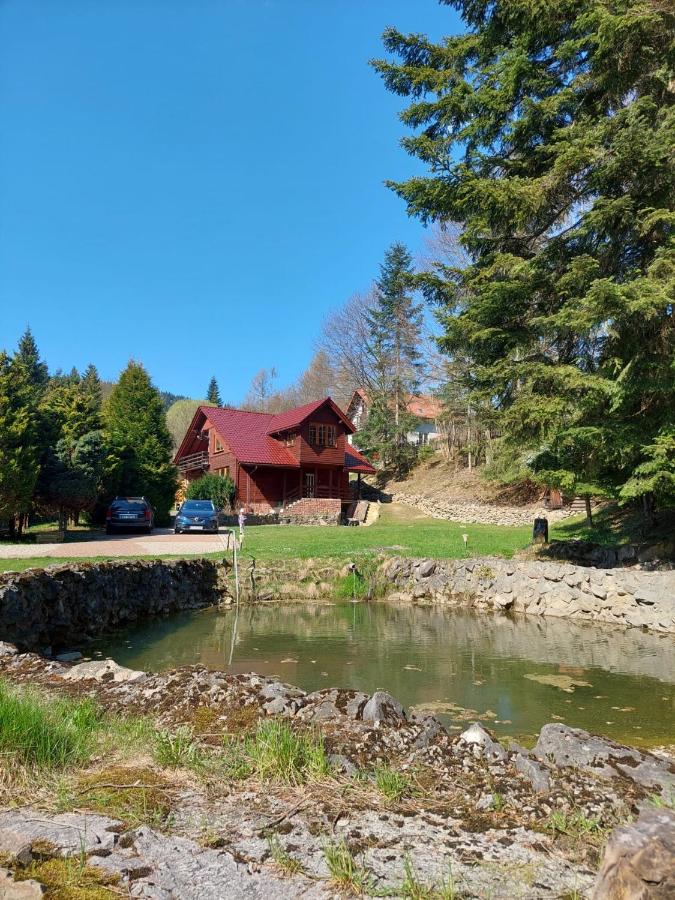 Rodzinny Dom Wypoczynkowy Grzechynia Carchla - B&B Grzechynia