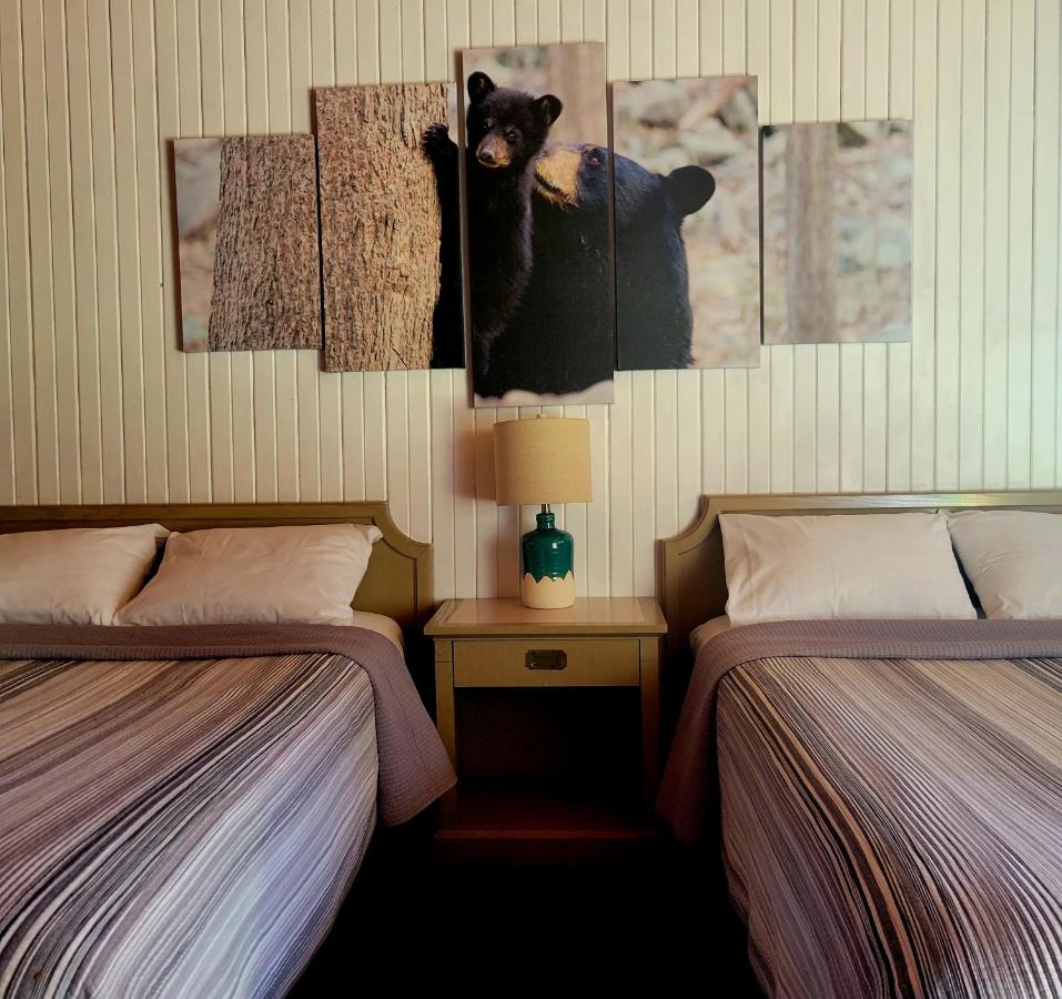 B&B Wawa - High Falls Motel & Cabins - Bed and Breakfast Wawa