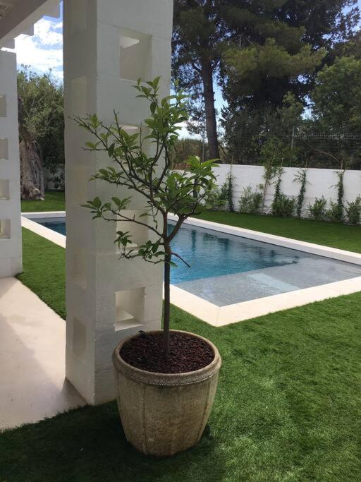 Villa Paolo - Rosa Marina Ostuni - B&B