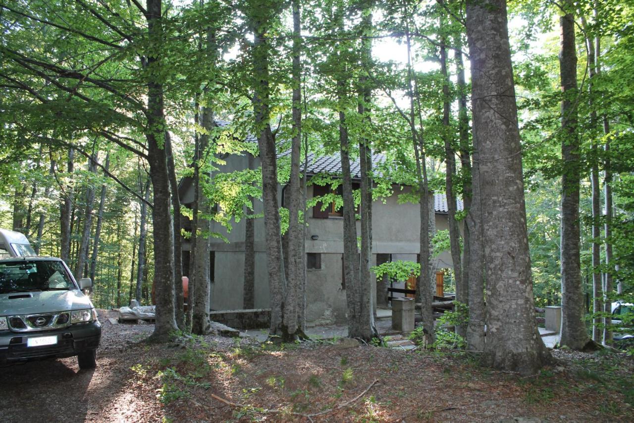 Casa nel bosco alle Macinaie - B&B