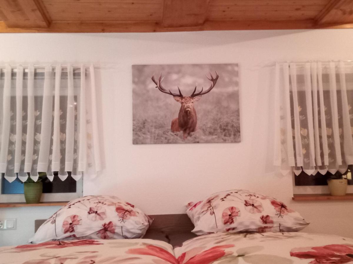 Ferienwohnung zum Sebnitzer Hirsch - Chambres d’hôtes