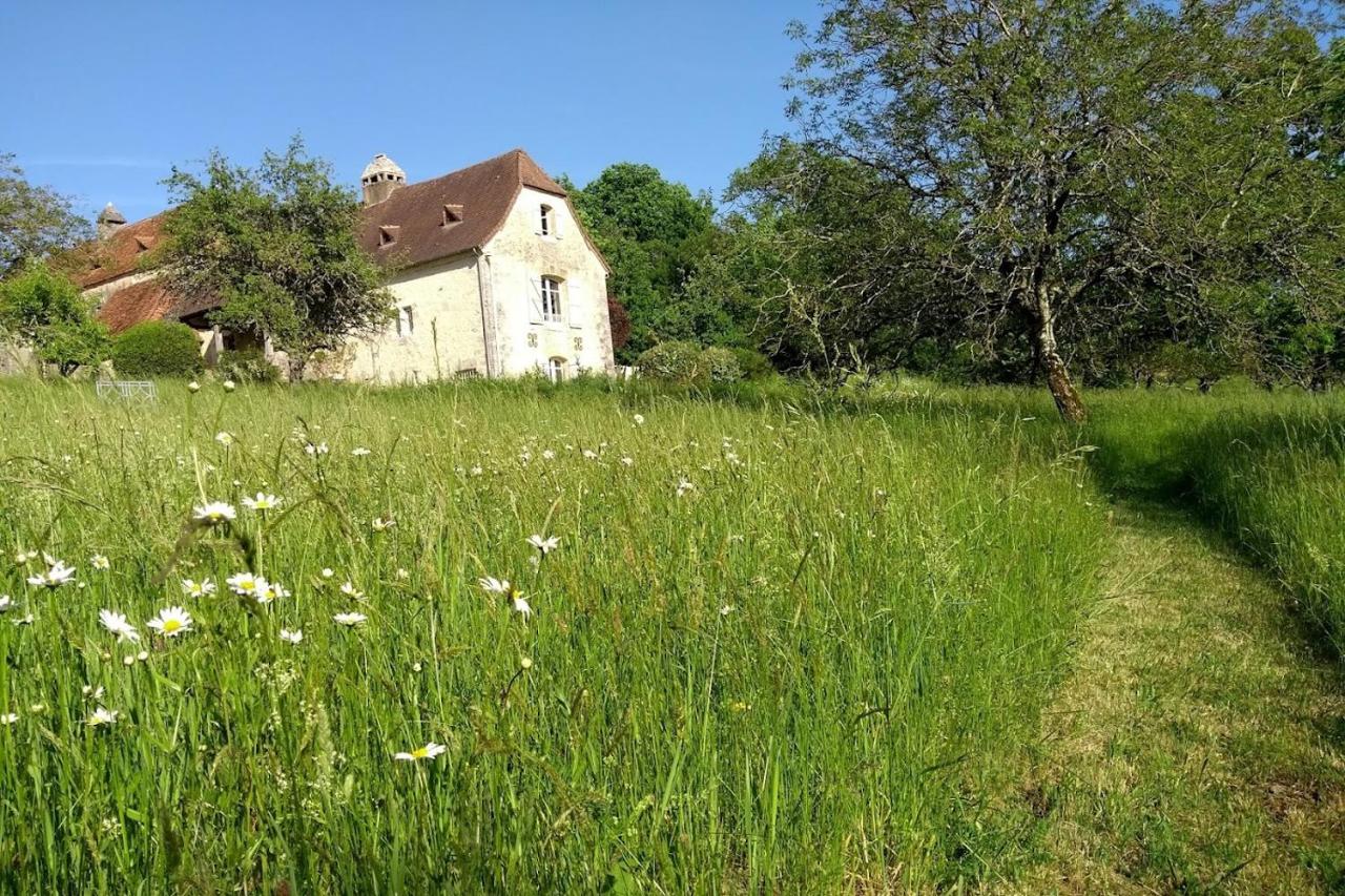 Les Fleurs d'Ans - Ferienwohnung