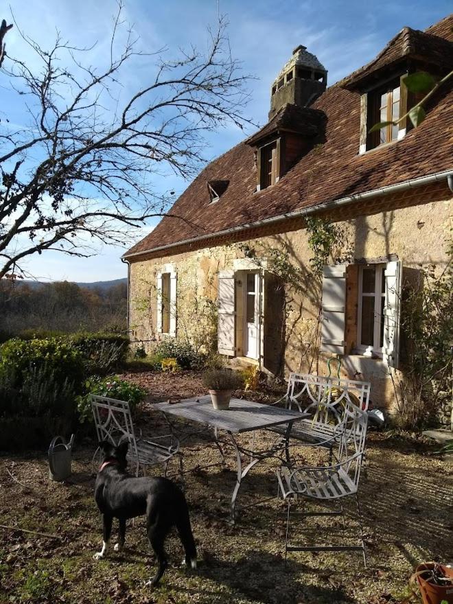 B&B Sainte-Eulalie-d'Ans - Les Fleurs d'Ans - Bed and Breakfast Sainte-Eulalie-d'Ans