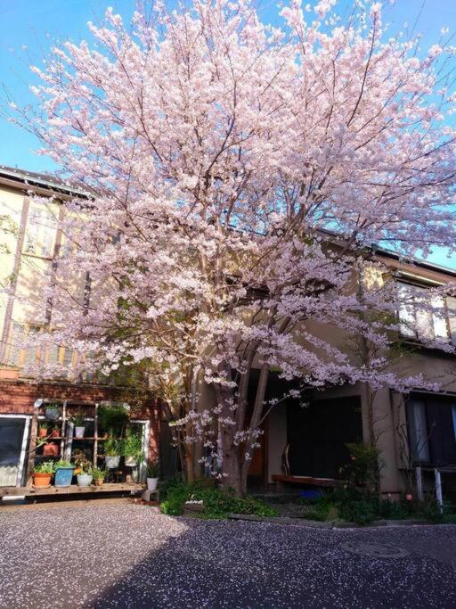 B&B Tokio - Diplomat House very close to JR Station - Bed and Breakfast Tokio