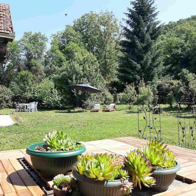 Fruškogorska kuća - Andrevlje lounge, naselje Testera - Chambres d’hôtes Čerević