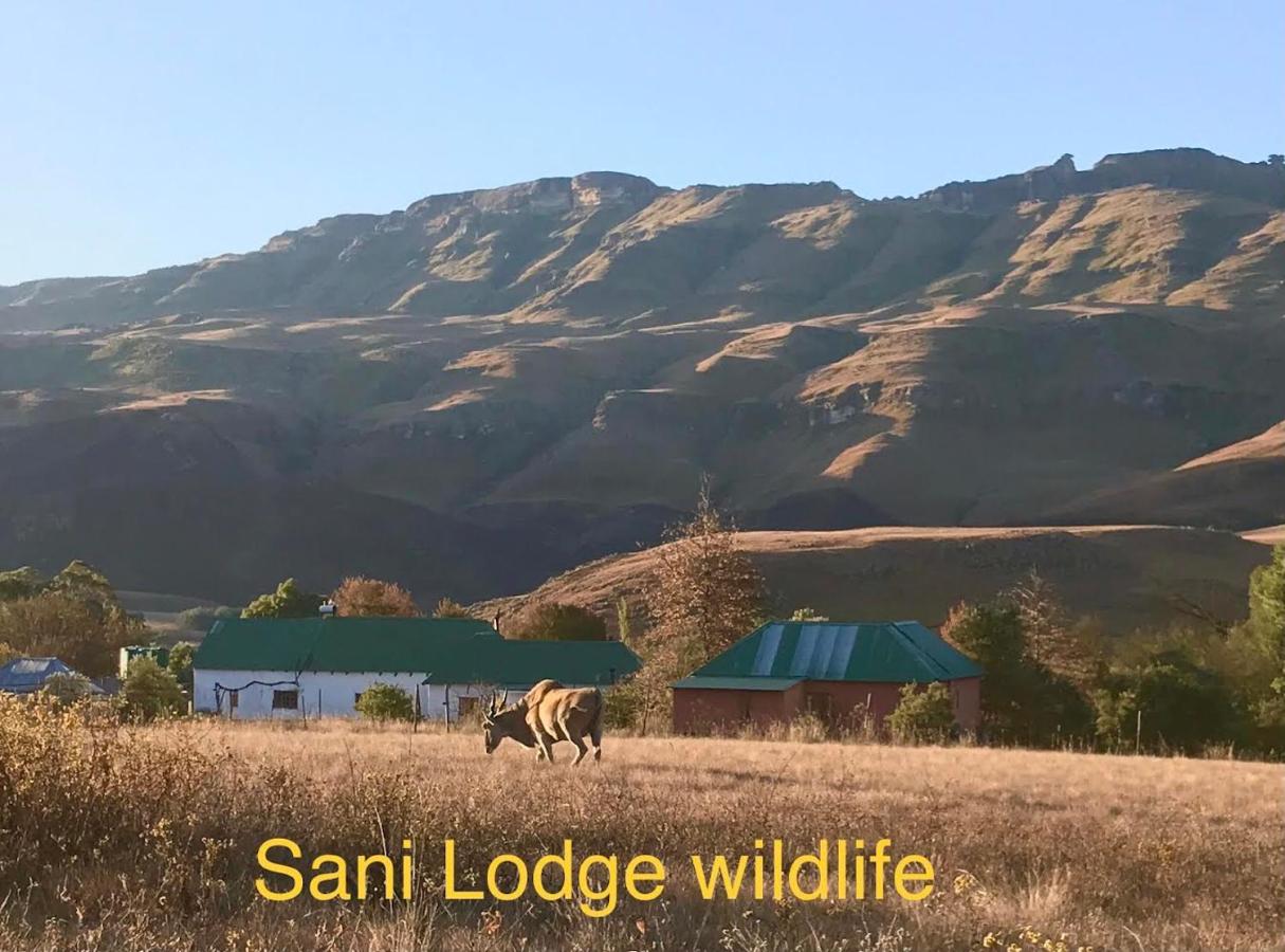 B&B Sani Pass - Sani Lodge Self-Catering Cottages Sani Pass South Africa - Bed and Breakfast Sani Pass