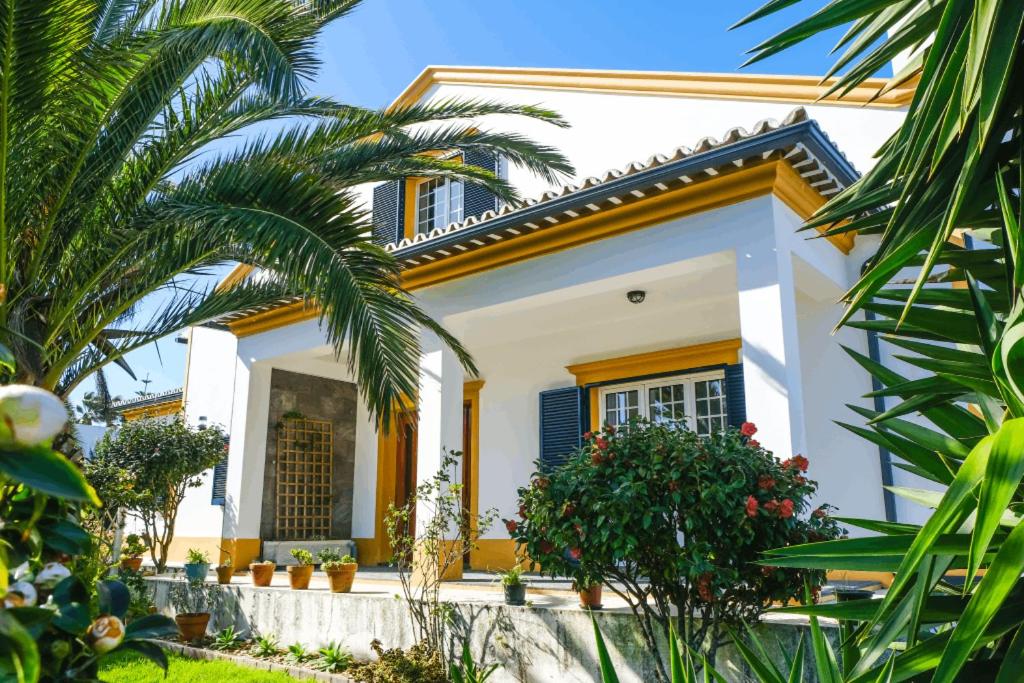 LAVA Açores Coliving & Coworking - B&B