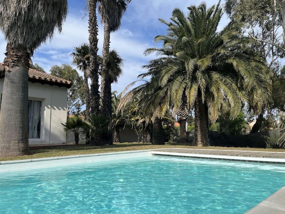 Villa avec magnifique piscine et grand jardin, à 2 pas du golf et de la plage - Chambres d'hôtes Saint-Cyprien