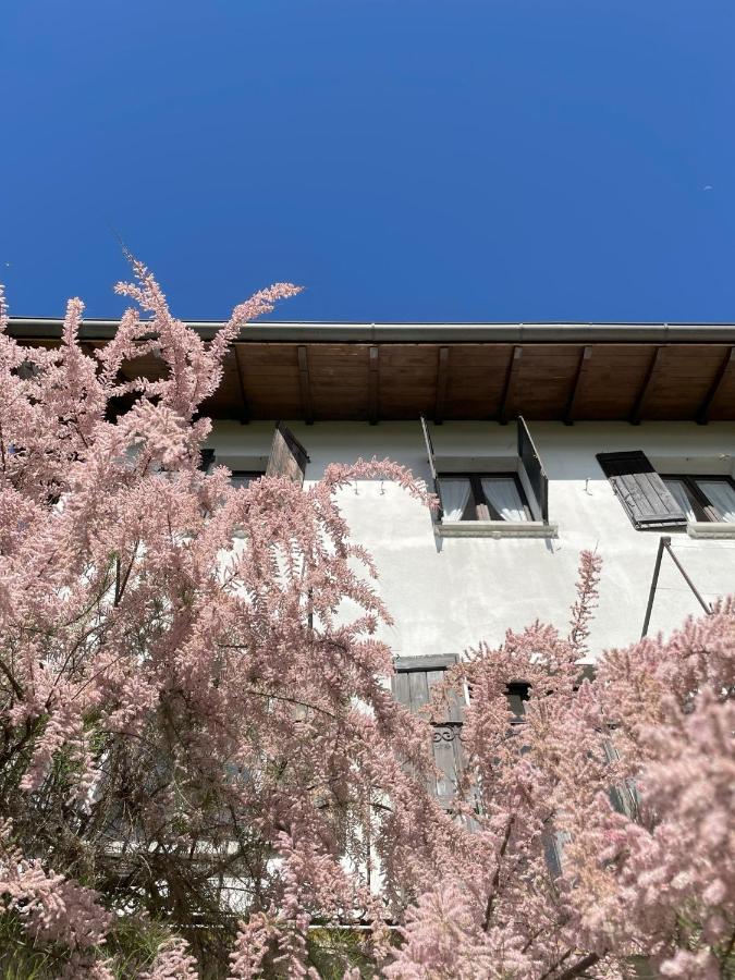 Balconata sul lago - B&B
