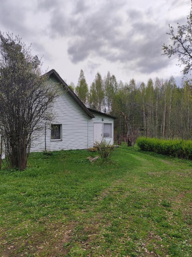 Bluci seksti - B&B Seksti