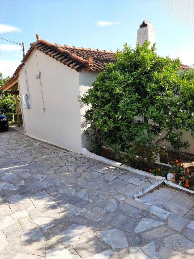 Agis Apartment#4 - B&B