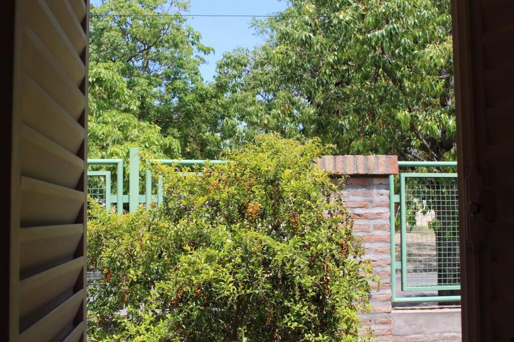 Ventanas al cerro recargado! - B&B
