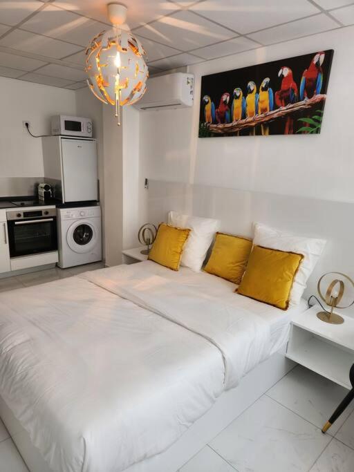 Hello-Guyane, Marina 2, Studio Prestige 5 étoiles - B&B Saint-Laurent-du-Maroni