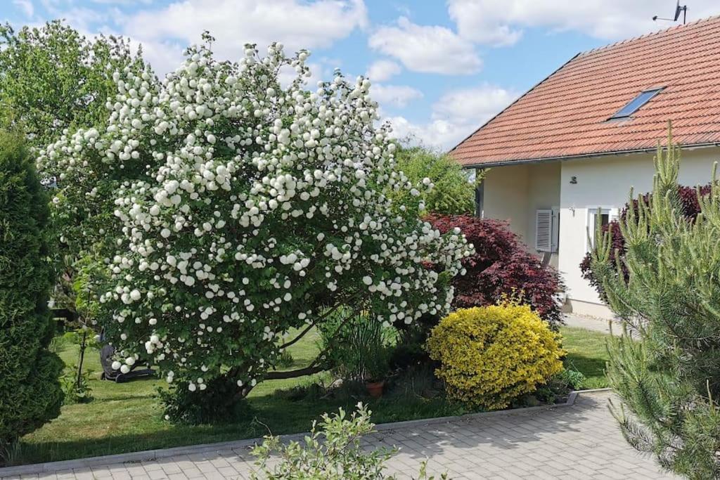 B&B Traitsching - Ferienhaus Ruhe Oase im Bayerischen Wald - Bed and Breakfast Traitsching